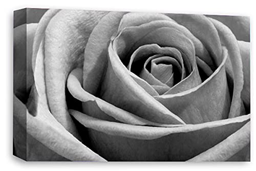 LR Floral Rose Wall Art Grey Canvas Picture Print Flower Framed Panel Ready to Hang