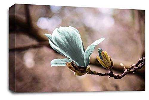 LR Floral Duck Egg Rose Wall Art Picture – Grey, White Framed Canvas Print | Ready to Hang | Modern Wall Art for Living Room, Bedroom & Office