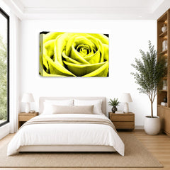 LR Floral Wall Art Picture – Yellow Rose Framed Canvas Print | Ready to Hang | Modern Wall Art for Living Room, Bedroom & Office