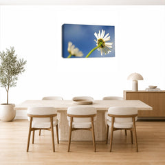 LR Floral Flower Daisy Wall Art Picture – Yellow & White Poppy Framed Canvas Print | Ready to Hang | Modern Wall Art for Living Room, Bedroom & Office