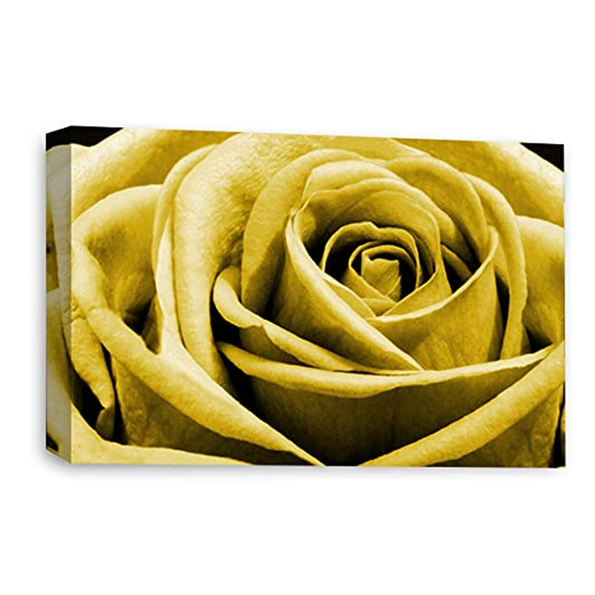 LR Floral Wall Art Picture – Yellow & Mustard Rose Framed Canvas Print | Ready to Hang | Modern Wall Art for Living Room, Bedroom & Office