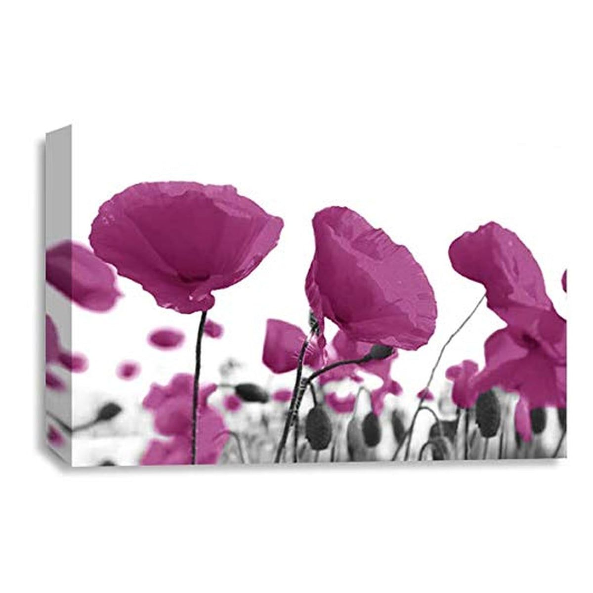 LR Floral Poppy Rose Wall Art Picture – Purple, White & Plum Framed Canvas Print | Ready to Hang | Modern Wall Art for Living Room, Bedroom & Office
