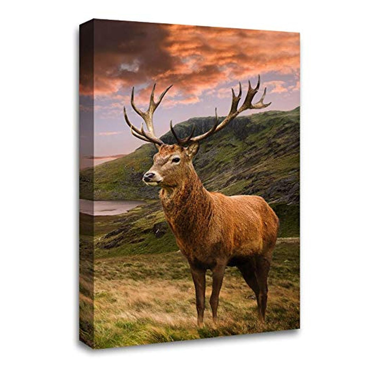 LR Large Highland Stag Wall Art Picture Framed Canvas Print | Ready to Hang | Modern Wall Art for Living Room, Bedroom & Office