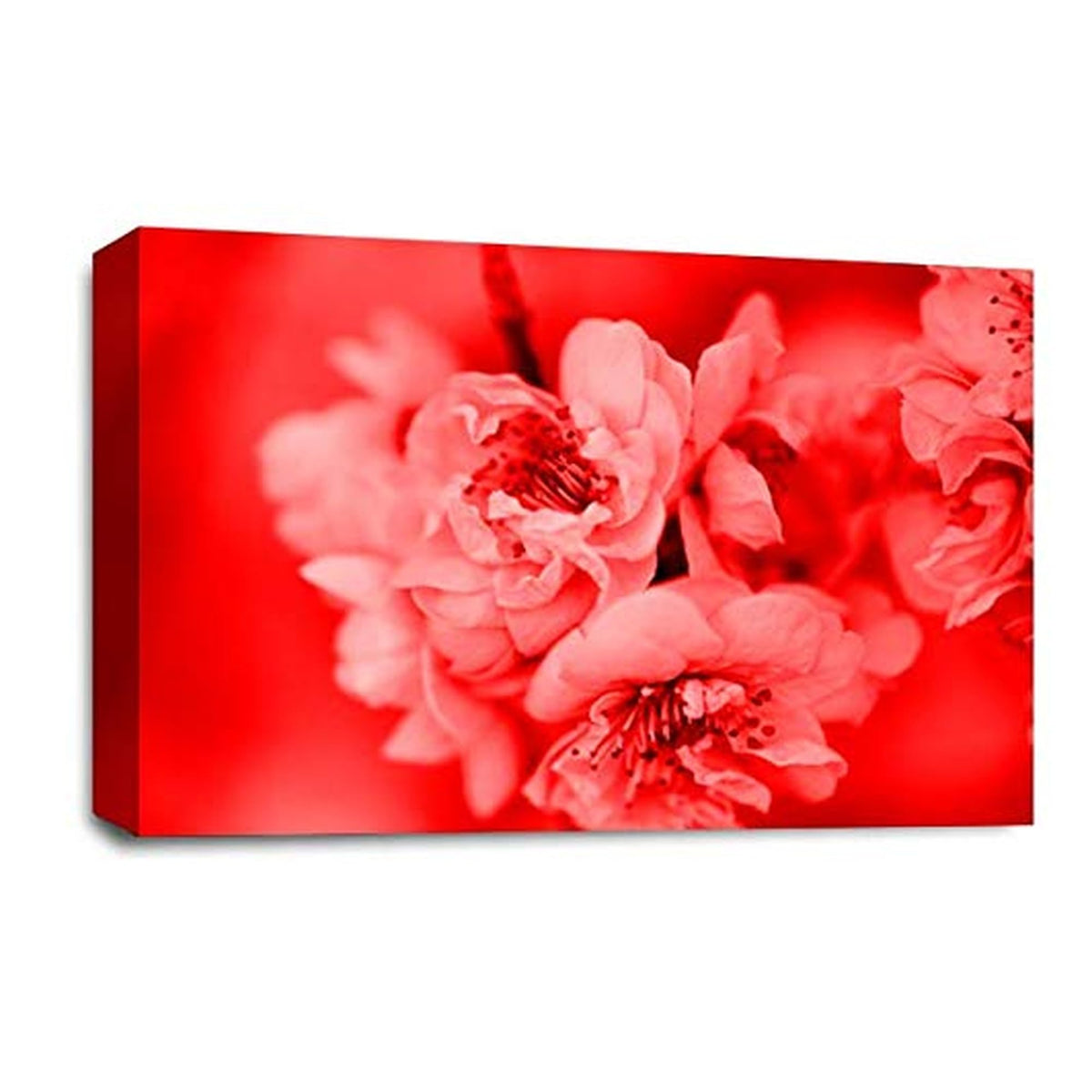 LR Floral Wall Art Picture – Red & White Framed Canvas Print | Ready to Hang | Modern Wall Art for Living Room, Bedroom & Office