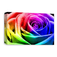 LR Floral Wall Art Picture – Rainbow Rose Framed Canvas Print | Ready to Hang | Modern Wall Art for Living Room, Bedroom & Office