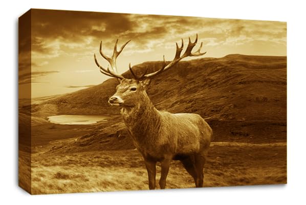 LR Highland Stag Canvas Wall Art Picture Scottish Animal Framed Panel Print Ready to Hang Brown Cream