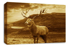 LR Highland Stag Canvas Wall Art Picture Scottish Animal Framed Panel Print Ready to Hang Brown Cream