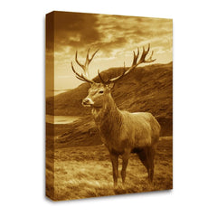 LR Highland Stag Wall Art Picture – Brown Framed Canvas Print | Ready to Hang | Modern Wall Art for Living Room, Bedroom & Office
