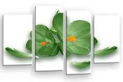 LR Floral Rose Orchid Wall Art Picture Green White Flower Framed Canvas Split Print Ready to Hang