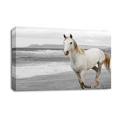 LR White Horse Running Wall Art Picture – Animal Framed Canvas Print | Ready to Hang | Modern Wall Art for Living Room, Bedroom & Office