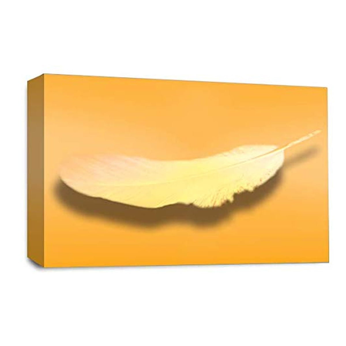 LR Abstract Feather Wall Art Picture – Orange & White Modern Framed Canvas Print | Ready to Hang | Modern Wall Art for Living Room, Bedroom & Office