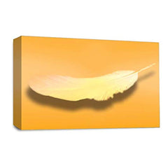 LR Abstract Feather Wall Art Picture – Orange & White Modern Framed Canvas Print | Ready to Hang | Modern Wall Art for Living Room, Bedroom & Office