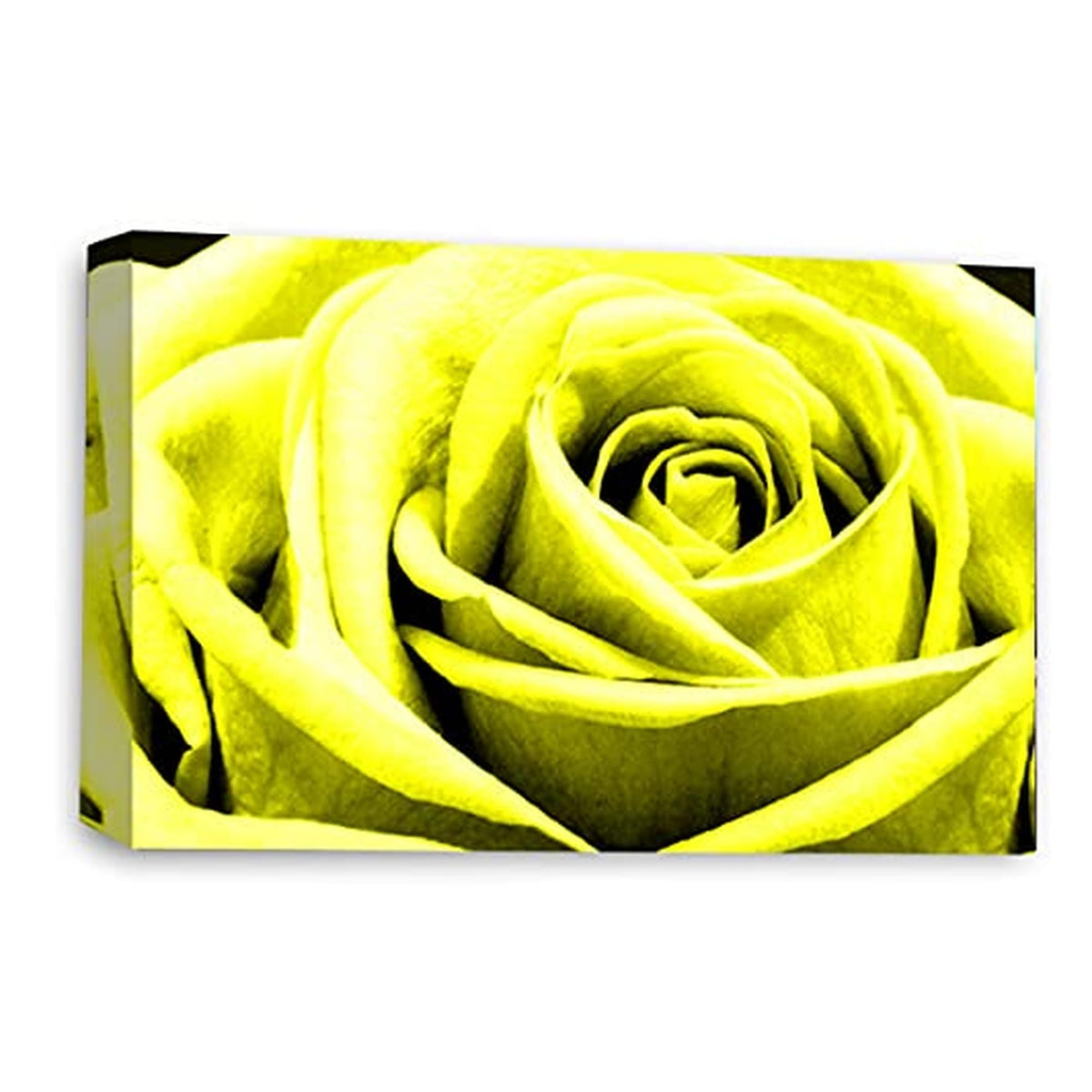 LR Floral Wall Art Picture – Yellow Rose Framed Canvas Print | Ready to Hang | Modern Wall Art for Living Room, Bedroom & Office