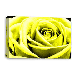 LR Floral Wall Art Picture – Yellow Rose Framed Canvas Print | Ready to Hang | Modern Wall Art for Living Room, Bedroom & Office