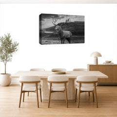 LR Highland Stag Wall Art Picture Framed Canvas Print | Ready to Hang | Modern Wall Art for Living Room, Bedroom & Office