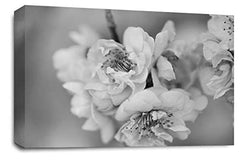 LR Floral Rose Flower Wall Art Picture – Grey & White Framed Canvas Print | Ready to Hang | Modern Wall Art for Living Room, Bedroom & Office