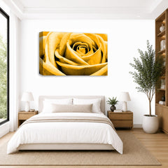 LR Floral Wall Art Picture – Orange Rose Framed Canvas Print | Ready to Hang | Modern Wall Art for Living Room, Bedroom & Office
