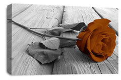 LR Floral Brown Rose Wall Art Grey White Flower Canvas Picture Print Ready to Hang