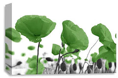 LR Floral Poppy Rose Wall Art Picture – Green & White Framed Canvas Print | Ready to Hang | Modern Wall Art for Living Room, Bedroom & Office