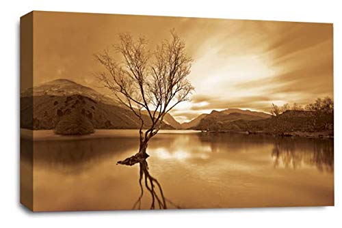 LR Landscape Wall Art Picture Brown Cream Abstract Lake Reflection Framed Canvas Panel Print Ready to Hang