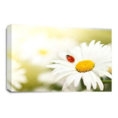 LR Floral Wall Art Picture – Yellow & White Poppy Framed Canvas Print | Ready to Hang | Modern Wall Art for Living Room, Bedroom & Office