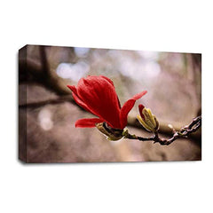 LR Floral Red Rose Wall Art Picture – Grey & White Framed Canvas Print | Ready to Hang | Modern Wall Art for Living Room, Bedroom & Office