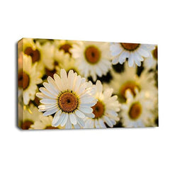 LR Floral Flower Daisy Wall Art Picture – Yellow & White Poppy Framed Canvas Print | Ready to Hang | Modern Wall Art for Living Room, Bedroom & Office