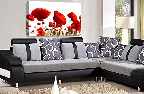 LR Floral Poppy Rose Wall Art Picture Red White Landscape Flower Picture Framed Print Ready to Hang