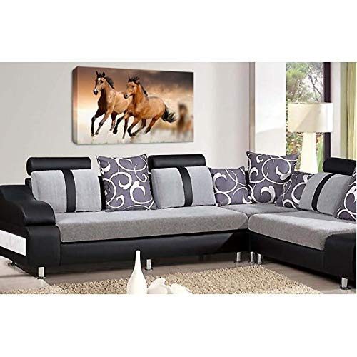 LR Brown Horse Running Wall Art Picture Animal Home Framed Canvas Panel Print Ready to Hang