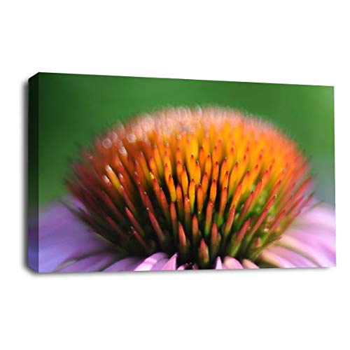 LR Floral Scottish Thistle Wall Art Picture – Green & Orange Framed Canvas Print | Ready to Hang | Modern Wall Art for Living Room, Bedroom & Office