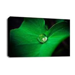 LR Floral Rain Forest Wall Art Picture – Green & White Framed Canvas Print | Ready to Hang | Modern Wall Art for Living Room, Bedroom & Office