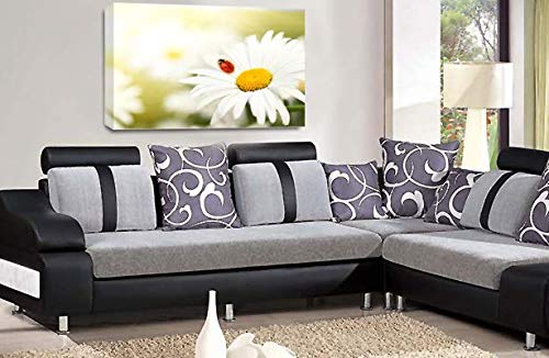 LR Floral Wall Art Print Yellow White Rose Poppy Flower Framed Canvas Panel Picture Ready to Hang