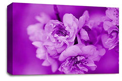 LR Floral Wall Art Print Purple Cream Rose Flower Love Framed Canvas Picture Ready to Hang