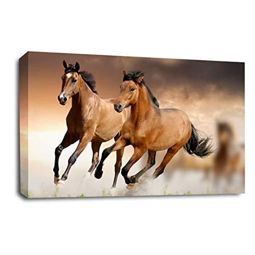 LR Brown Horse Running Wall Art Picture Animal Home Framed Canvas Panel Print Ready to Hang