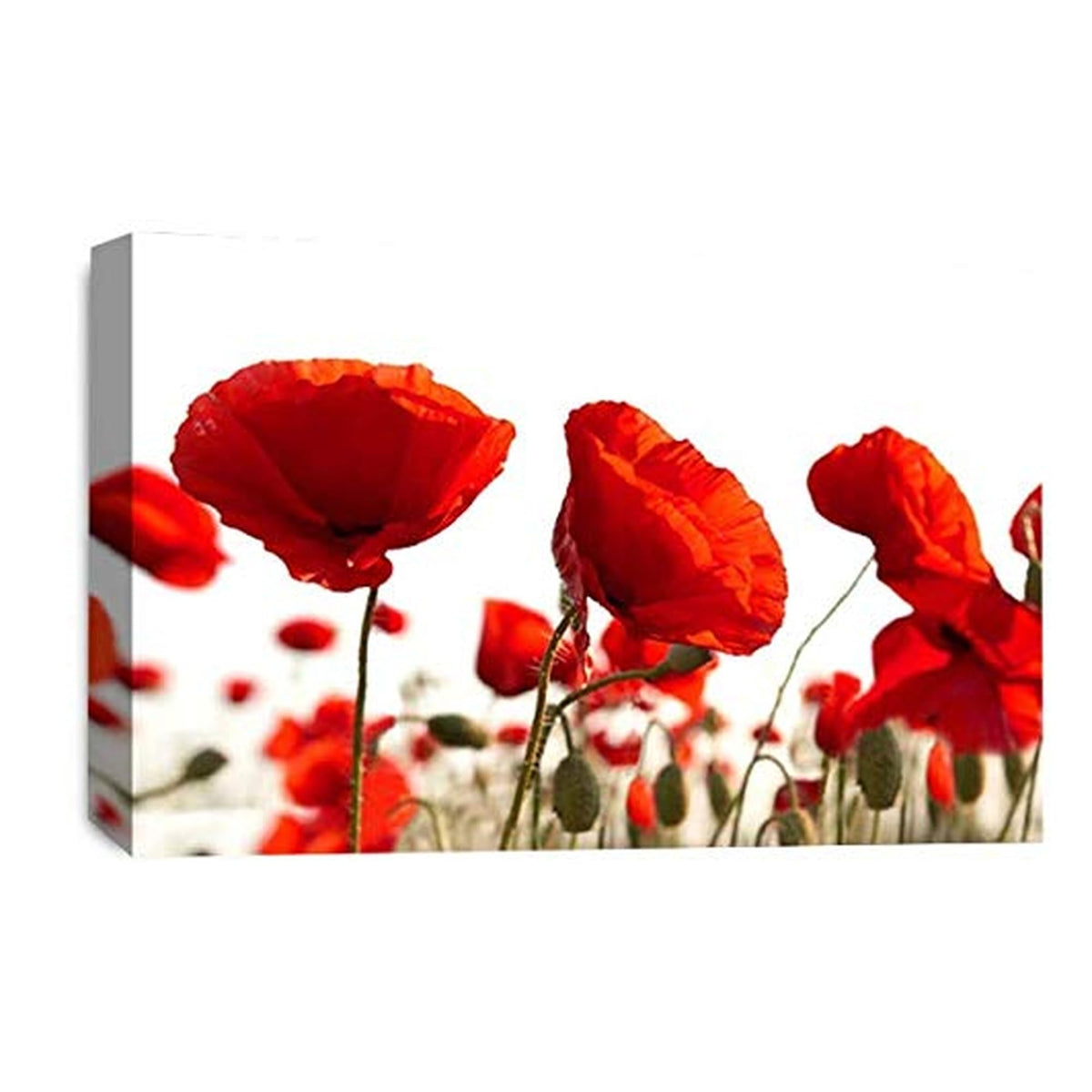 LR Floral Poppy Rose Wall Art Picture – Red & White Framed Canvas Print | Ready to Hang | Modern Wall Art for Living Room, Bedroom & Office