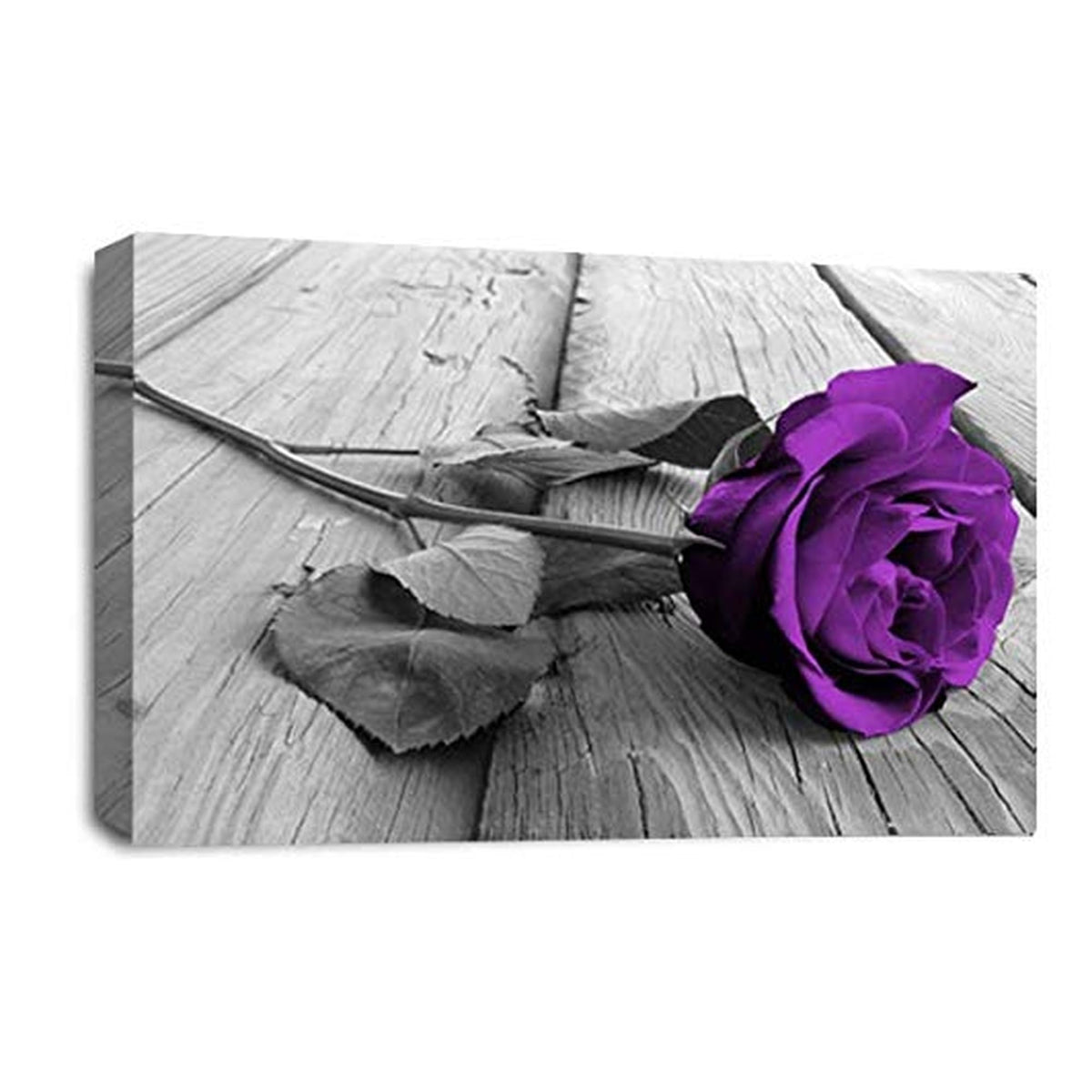 LR Floral Purple Rose Wall Art Picture – Grey & White Framed Canvas Print | Ready to Hang | Modern Wall Art for Living Room, Bedroom & Office