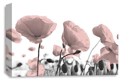 LR Floral Wall Art Picture – Pink & White Poppy Framed Canvas Print | Ready to Hang | Modern Wall Art for Living Room, Bedroom & Office